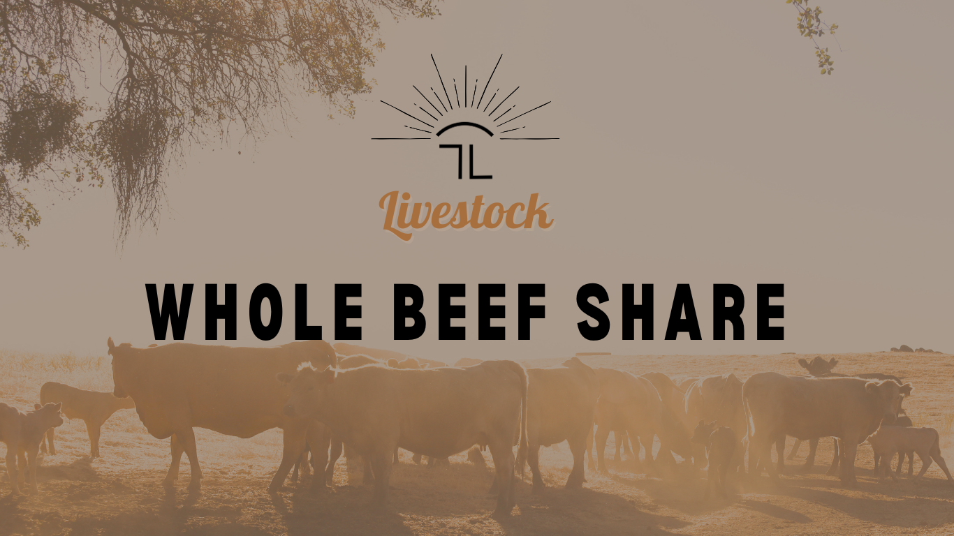 WHOLE BEEF SHARE