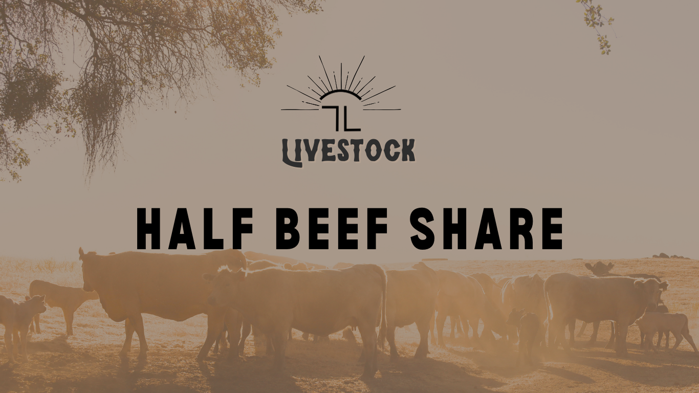 HALF BEEF SHARE