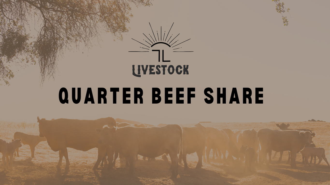QUARTER BEEF SHARE